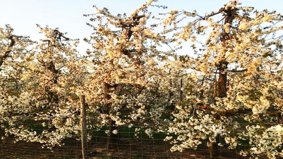 Vakantiewoning Henisdael Heers Εξωτερικό φωτογραφία