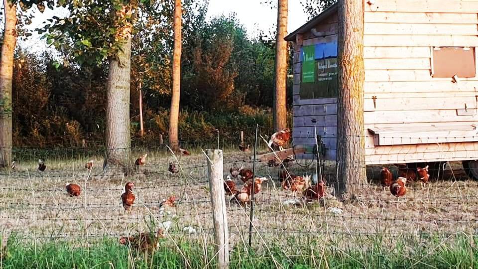 Vakantiewoning Henisdael Heers Εξωτερικό φωτογραφία